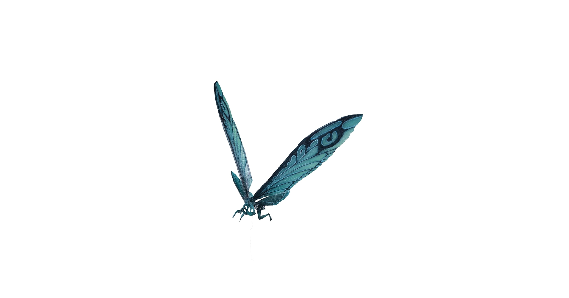 51+fvTxXIKL.jpg_BO30,255,255,